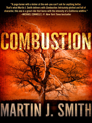 cover image of Combustion